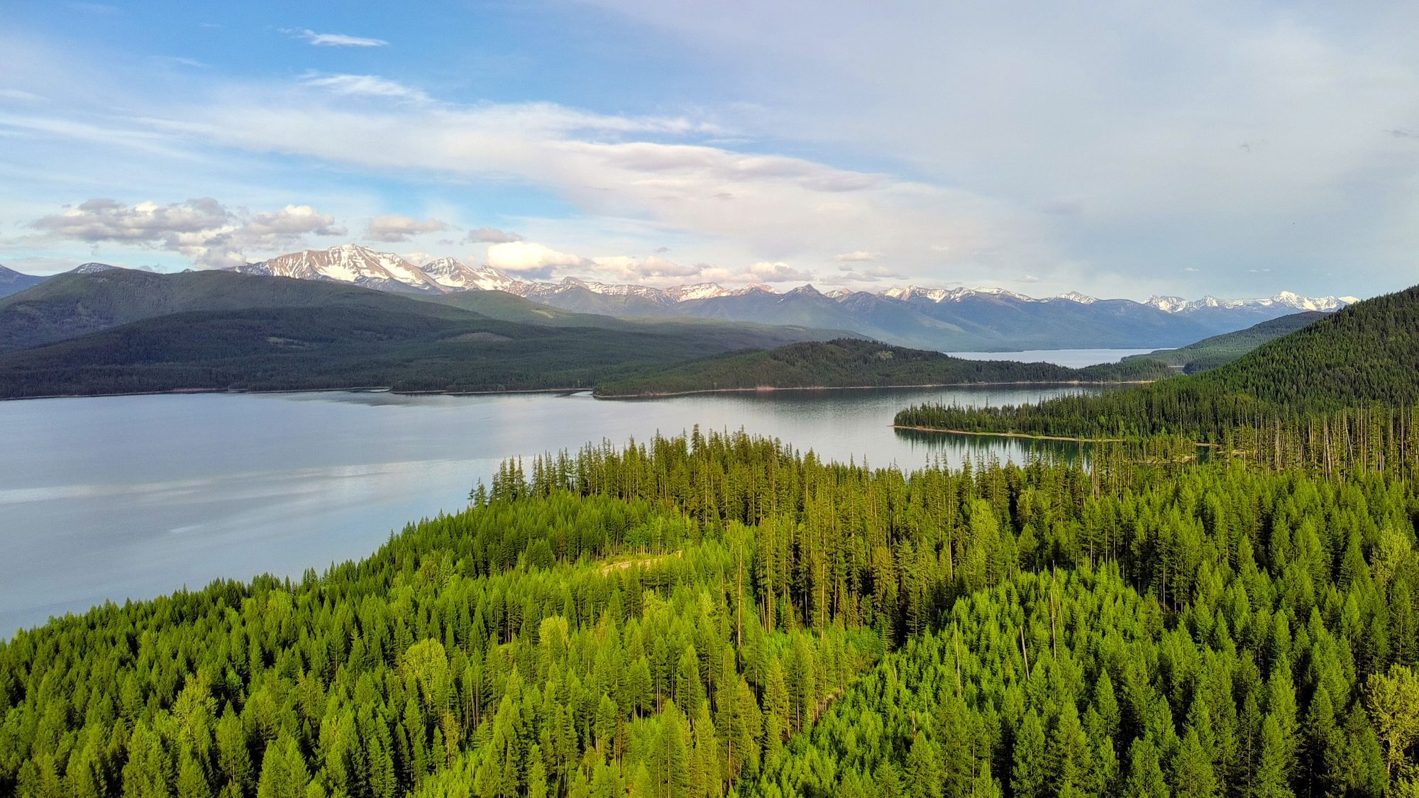 Aerial view of a forested lake shore with mountains beyond in Montana