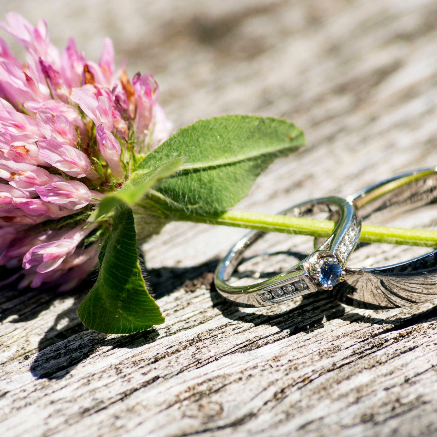 Two wedding rings resting on a clover flower at North Star Ranch in Montana